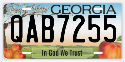 GA license plate QAB7255