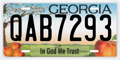 GA license plate QAB7293