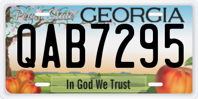 GA license plate QAB7295