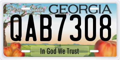 GA license plate QAB7308