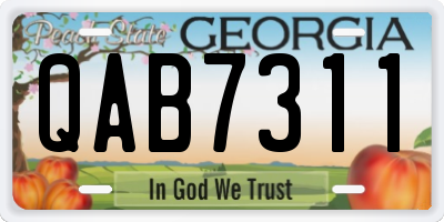 GA license plate QAB7311