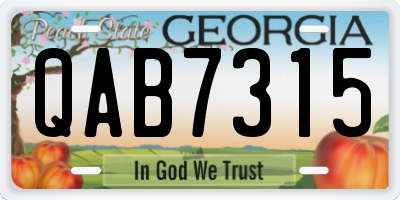 GA license plate QAB7315