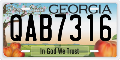GA license plate QAB7316