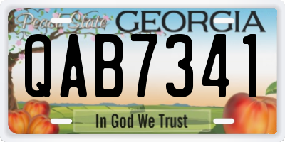 GA license plate QAB7341