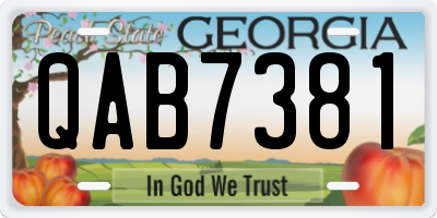 GA license plate QAB7381