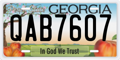GA license plate QAB7607