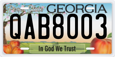 GA license plate QAB8003