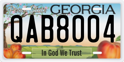 GA license plate QAB8004