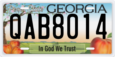 GA license plate QAB8014