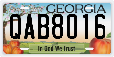 GA license plate QAB8016
