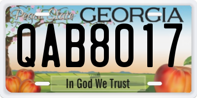 GA license plate QAB8017