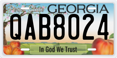 GA license plate QAB8024