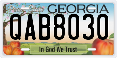 GA license plate QAB8030