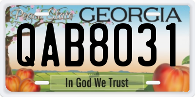 GA license plate QAB8031