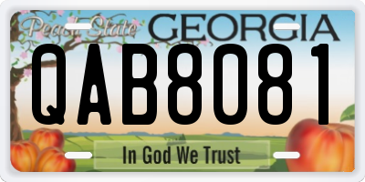 GA license plate QAB8081