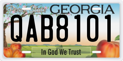 GA license plate QAB8101