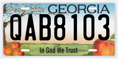 GA license plate QAB8103