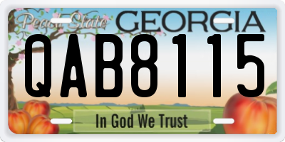 GA license plate QAB8115