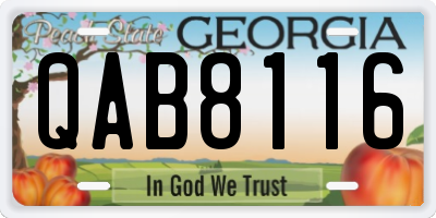 GA license plate QAB8116