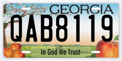 GA license plate QAB8119