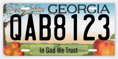 GA license plate QAB8123