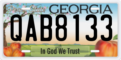 GA license plate QAB8133