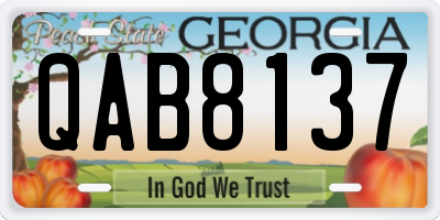 GA license plate QAB8137