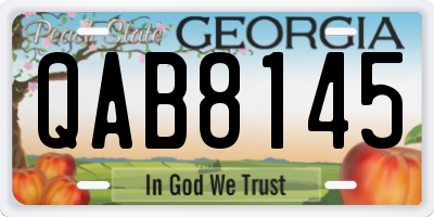 GA license plate QAB8145
