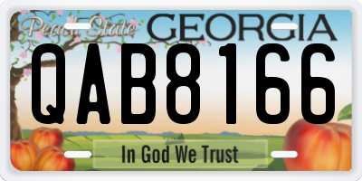GA license plate QAB8166