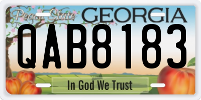 GA license plate QAB8183