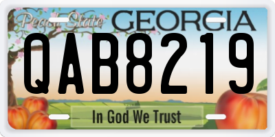 GA license plate QAB8219