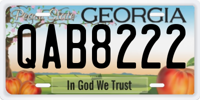 GA license plate QAB8222