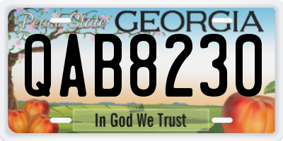 GA license plate QAB8230