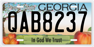 GA license plate QAB8237