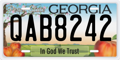 GA license plate QAB8242