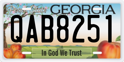 GA license plate QAB8251
