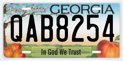 GA license plate QAB8254