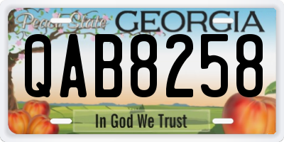 GA license plate QAB8258
