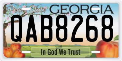 GA license plate QAB8268
