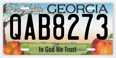 GA license plate QAB8273
