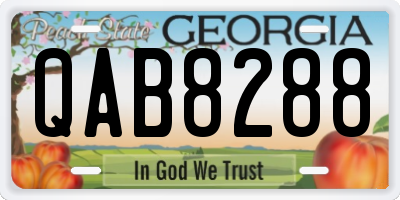 GA license plate QAB8288