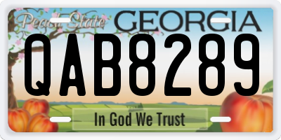 GA license plate QAB8289