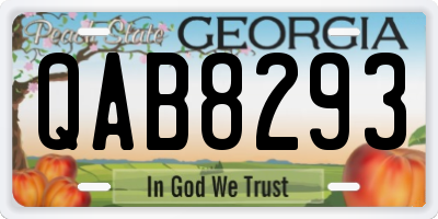 GA license plate QAB8293