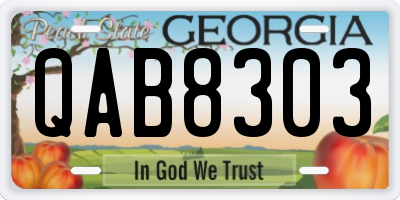 GA license plate QAB8303