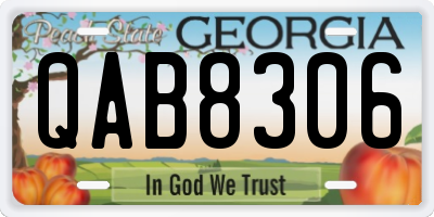 GA license plate QAB8306