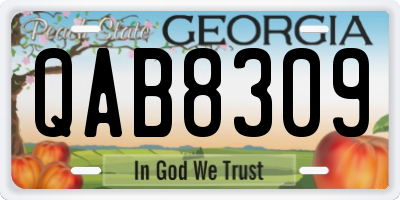 GA license plate QAB8309