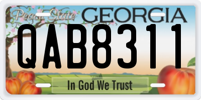 GA license plate QAB8311
