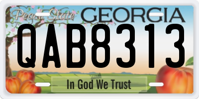 GA license plate QAB8313