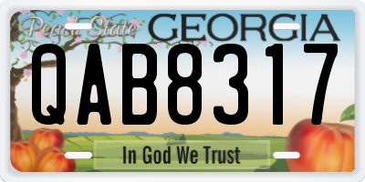 GA license plate QAB8317