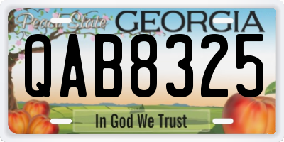 GA license plate QAB8325